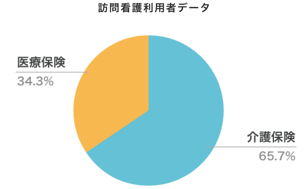 訪問看護利用者データ